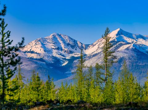 Tiny photo for NHN Stoner Lake Road, Condon, MT 59826 (MLS # 30065775)