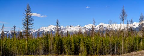 Tiny photo for NHN Stoner Lake Road, Condon, MT 59826 (MLS # 30065775)