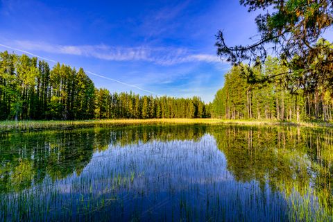Tiny photo for NHN Stoner Lake Road, Condon, MT 59826 (MLS # 30065775)