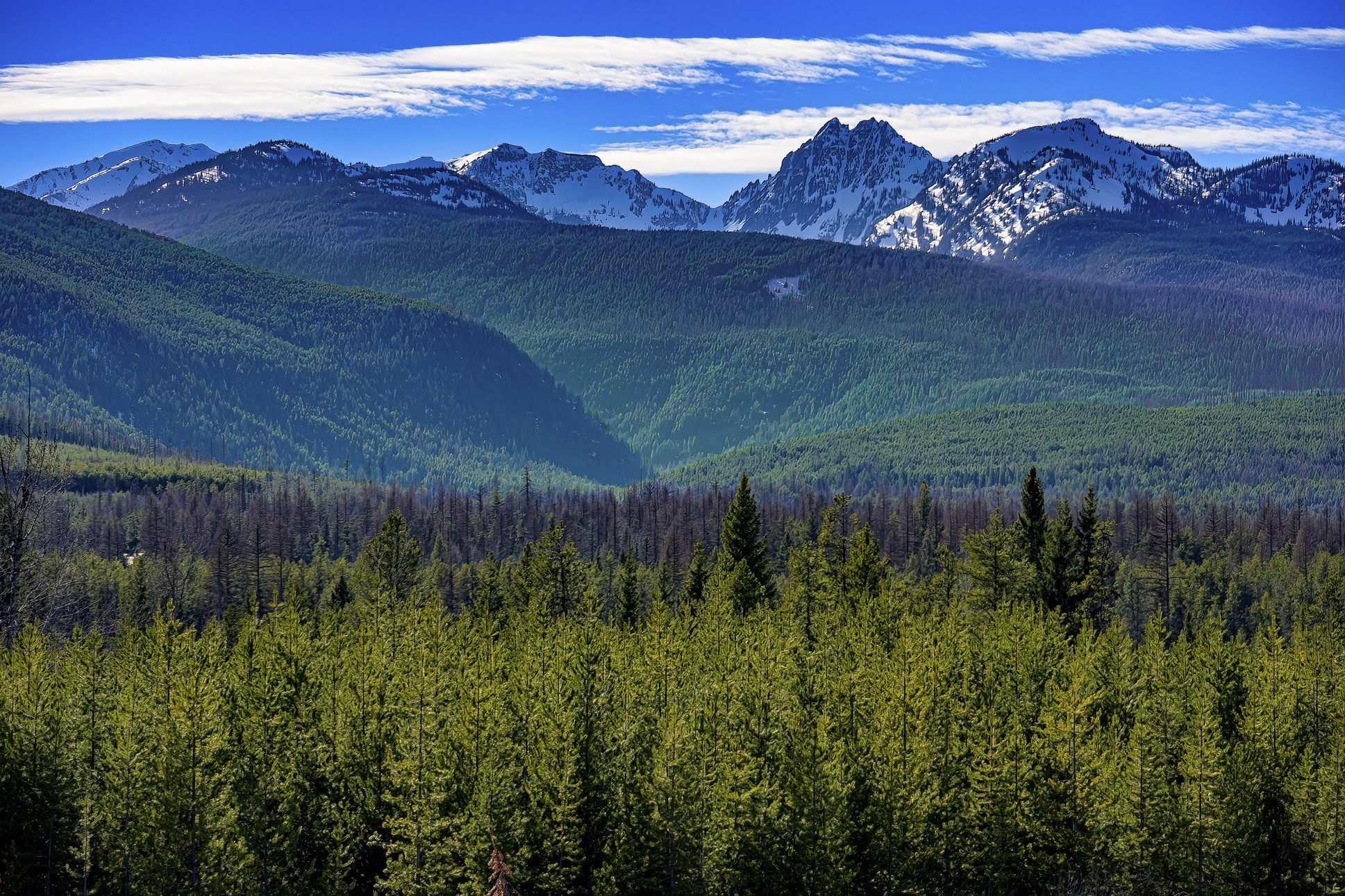 NHN Stoner Lake Road