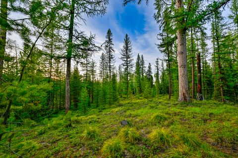 Tiny photo for NHN Stoner Lake Road, Condon, MT 59826 (MLS # 30065775)