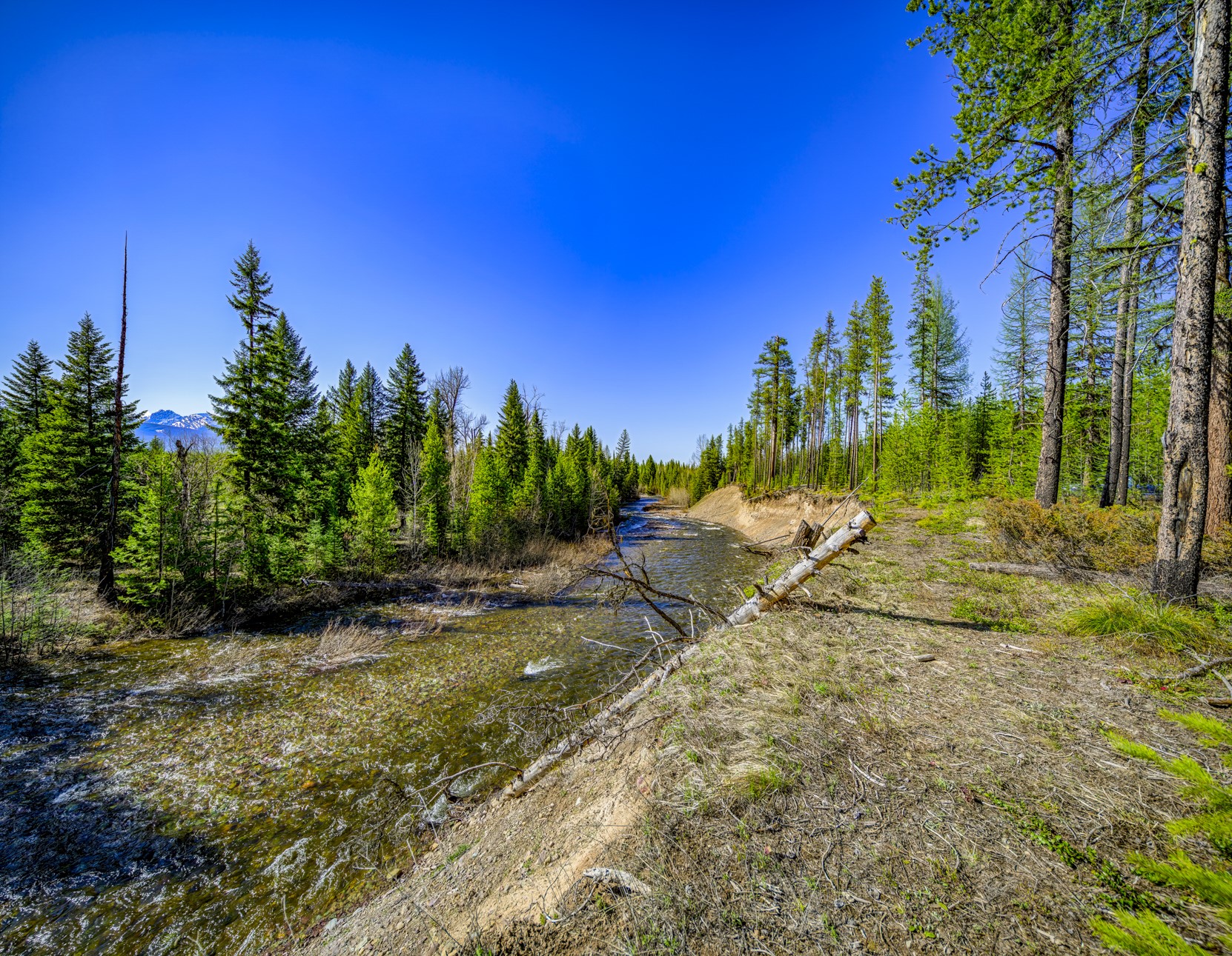 NHN Stoner Lake Road