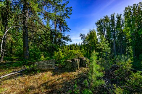 Tiny photo for NHN Stoner Lake Road, Condon, MT 59826 (MLS # 30065775)