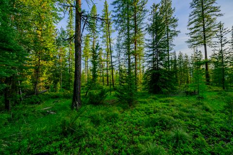Tiny photo for NHN Stoner Lake Road, Condon, MT 59826 (MLS # 30065775)