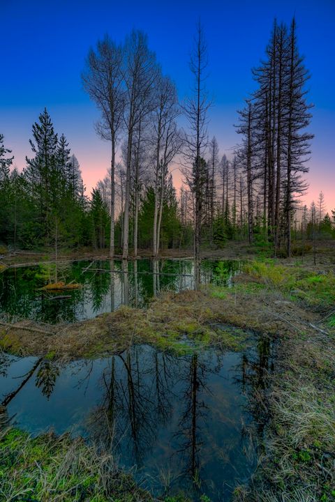 Tiny photo for NHN Stoner Lake Road, Condon, MT 59826 (MLS # 30065775)