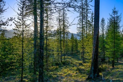 Tiny photo for NHN Stoner Lake Road, Condon, MT 59826 (MLS # 30065775)