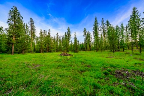 Tiny photo for NHN Stoner Lake Road, Condon, MT 59826 (MLS # 30065775)