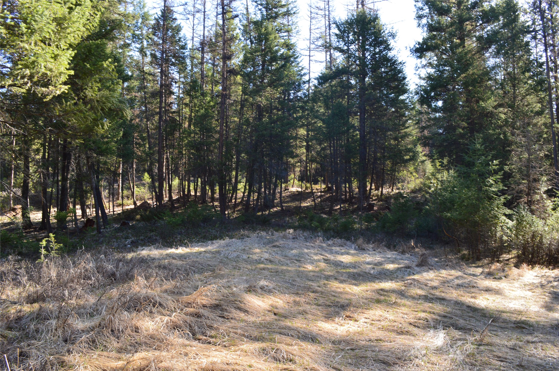 722 Rifle Range Road
