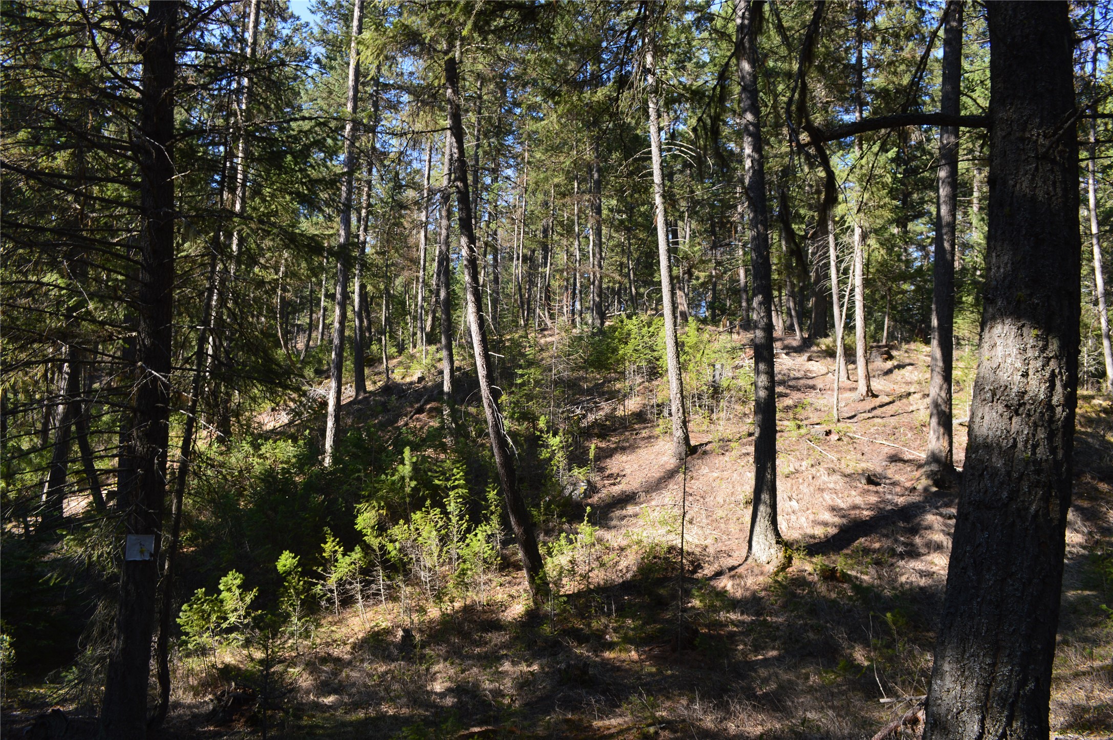 722 Rifle Range Road