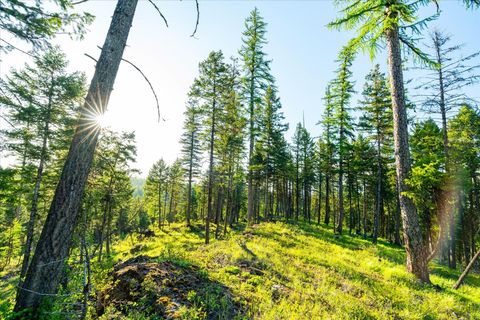 Tiny photo for 31 Forest Path Drive, Whitefish, MT 59937 (MLS # 30045940)