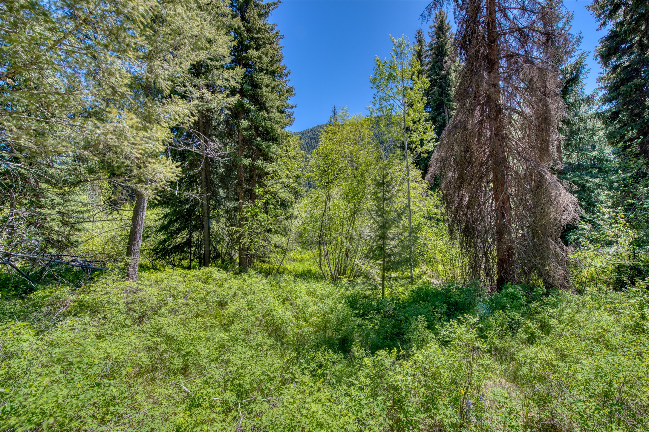 Sula, Montana 59871, United States, 2 Bedrooms Bedrooms, ,2 BathroomsBathrooms,Residential,Pending,142593