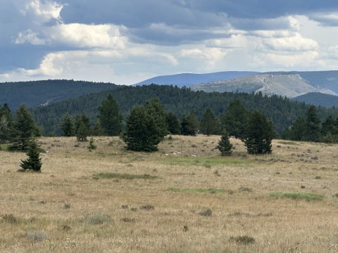 Tiny photo for TBD Logging Creek Road, Monarch, MT 59463 (MLS # 30076956)