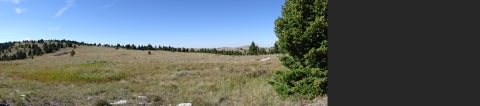 Tiny photo for TBD Logging Creek Road, Monarch, MT 59463 (MLS # 30076956)