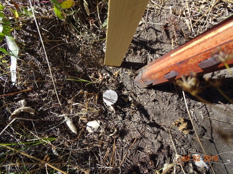 Tiny photo for TBD Logging Creek Road, Monarch, MT 59463 (MLS # 30076956)