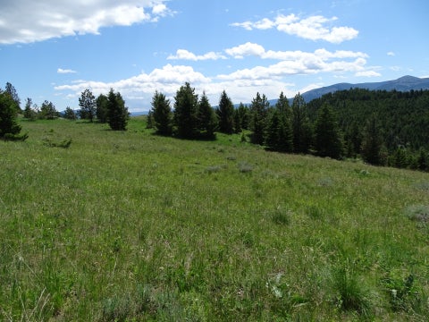 Tiny photo for TBD Logging Creek Road, Monarch, MT 59463 (MLS # 30076956)