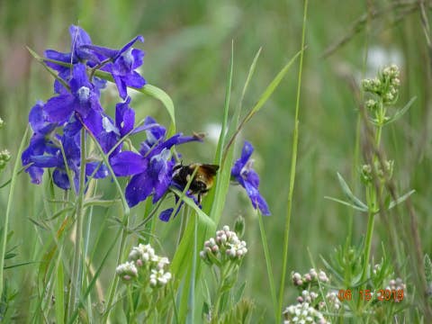 Tiny photo for TBD Logging Creek Road, Monarch, MT 59463 (MLS # 30076956)