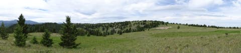 Tiny photo for TBD Logging Creek Road, Monarch, MT 59463 (MLS # 30076956)