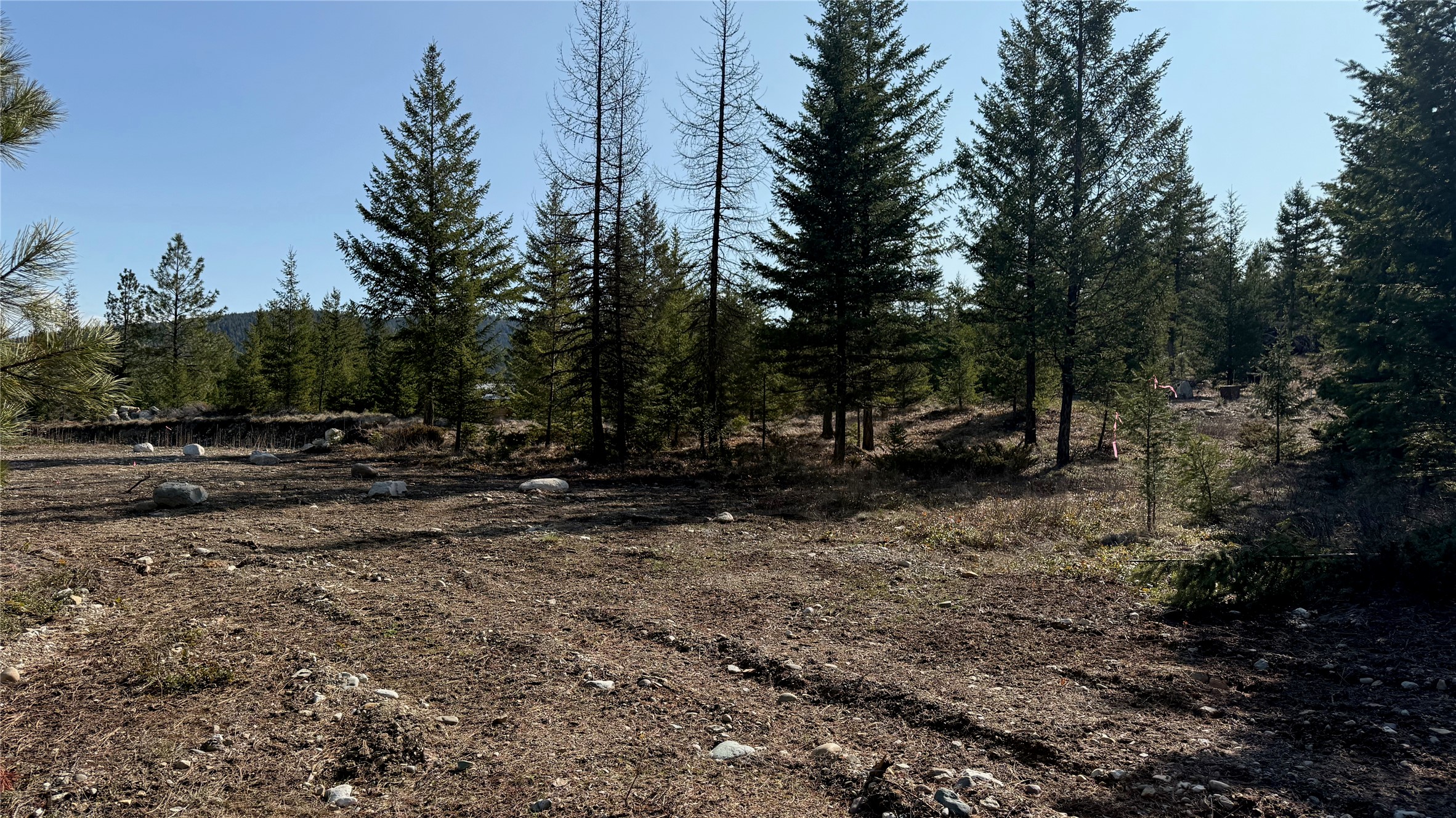 TBD Kootenai Echo Trail