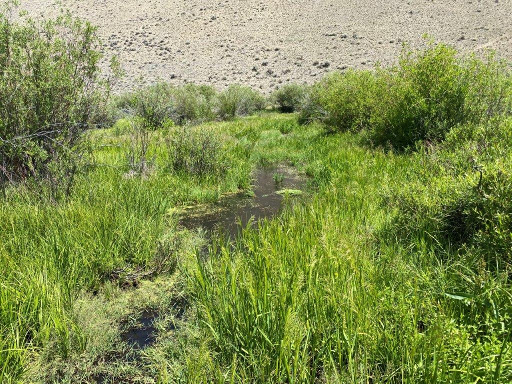 NHN North Camp Creek Road