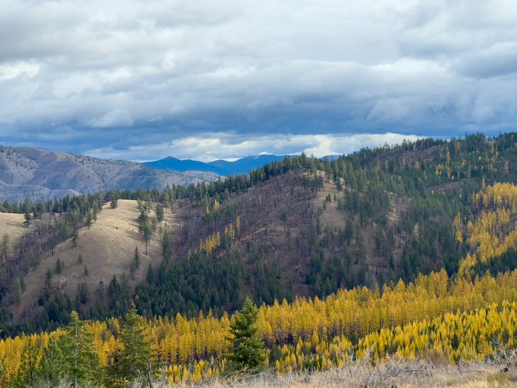 Photo of Lolo Peak Shadows, Lolo, MT 59847 (MLS # 30068258)