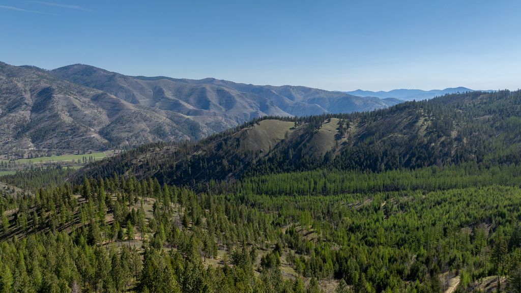 Photo of Lolo Peak Shadows, Lolo, MT 59847 (MLS # 30068258)