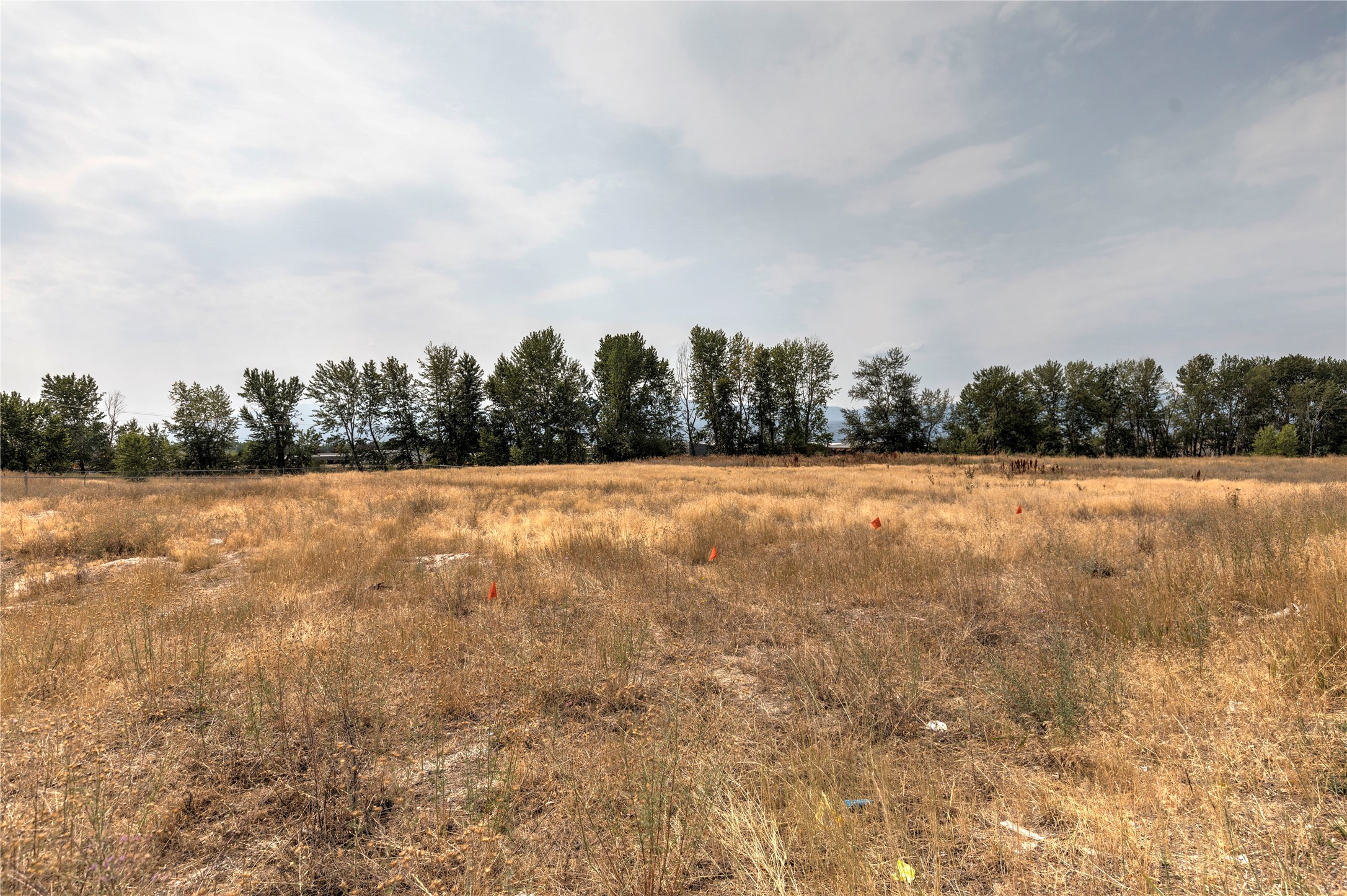 401 Expressway Boulevard