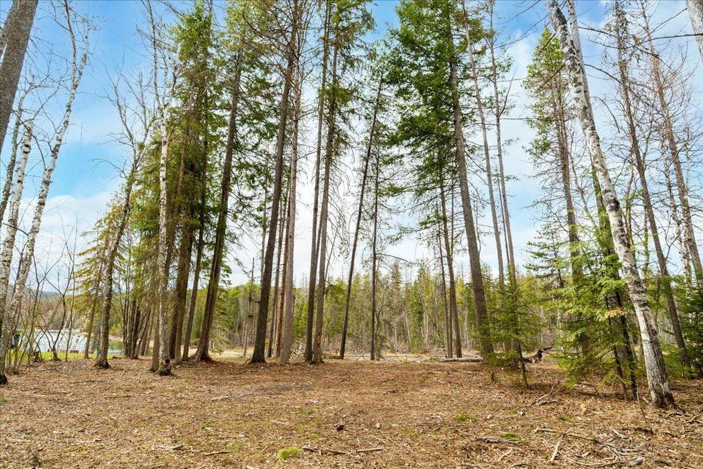 Photo of 518 Eastman Drive, Bigfork, MT 59911 (MLS # 30069864)