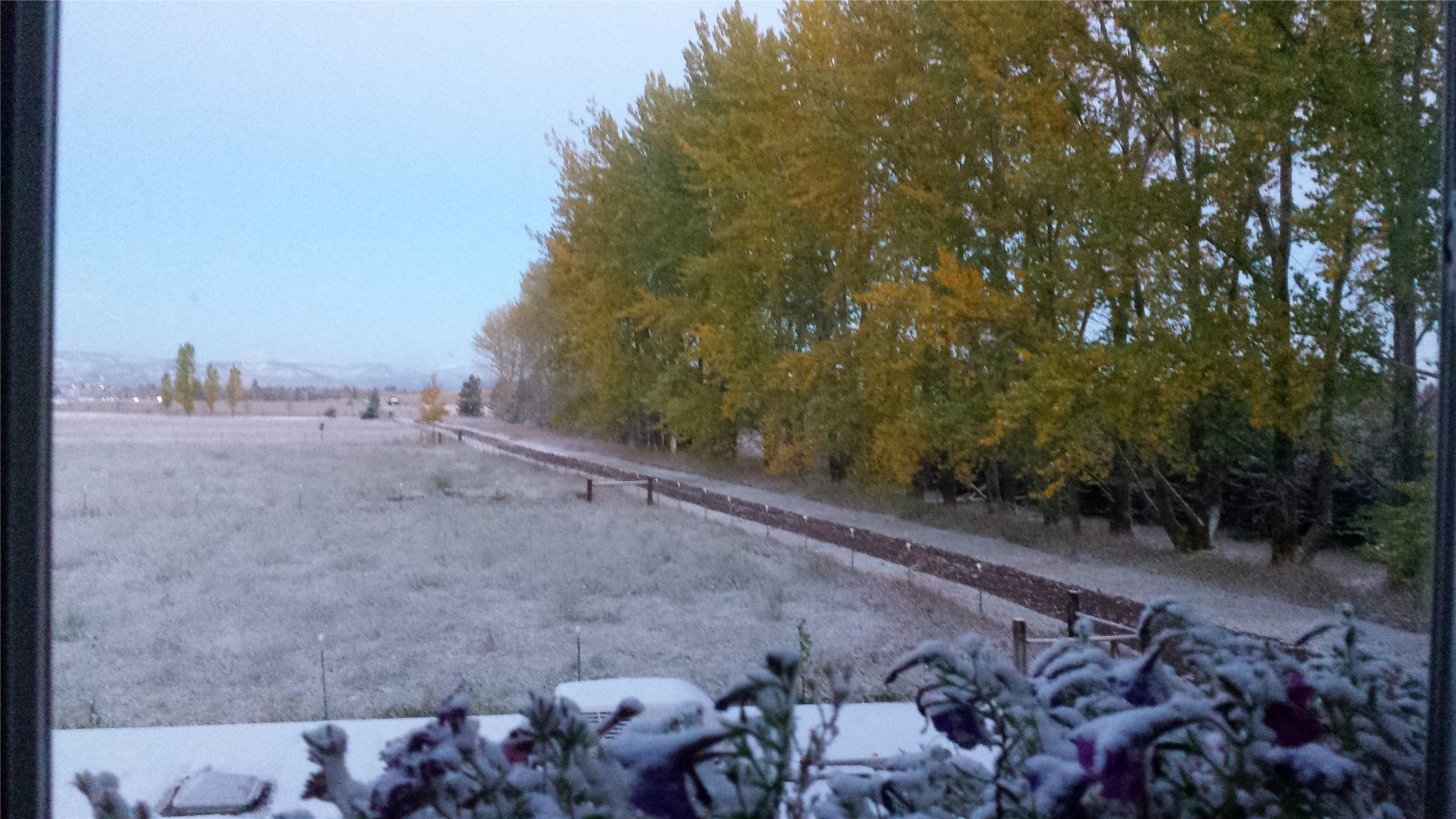 Kalispell, Montana 59901, United States, 2 Bedrooms Bedrooms, ,2 BathroomsBathrooms,Residential,Pending,60875