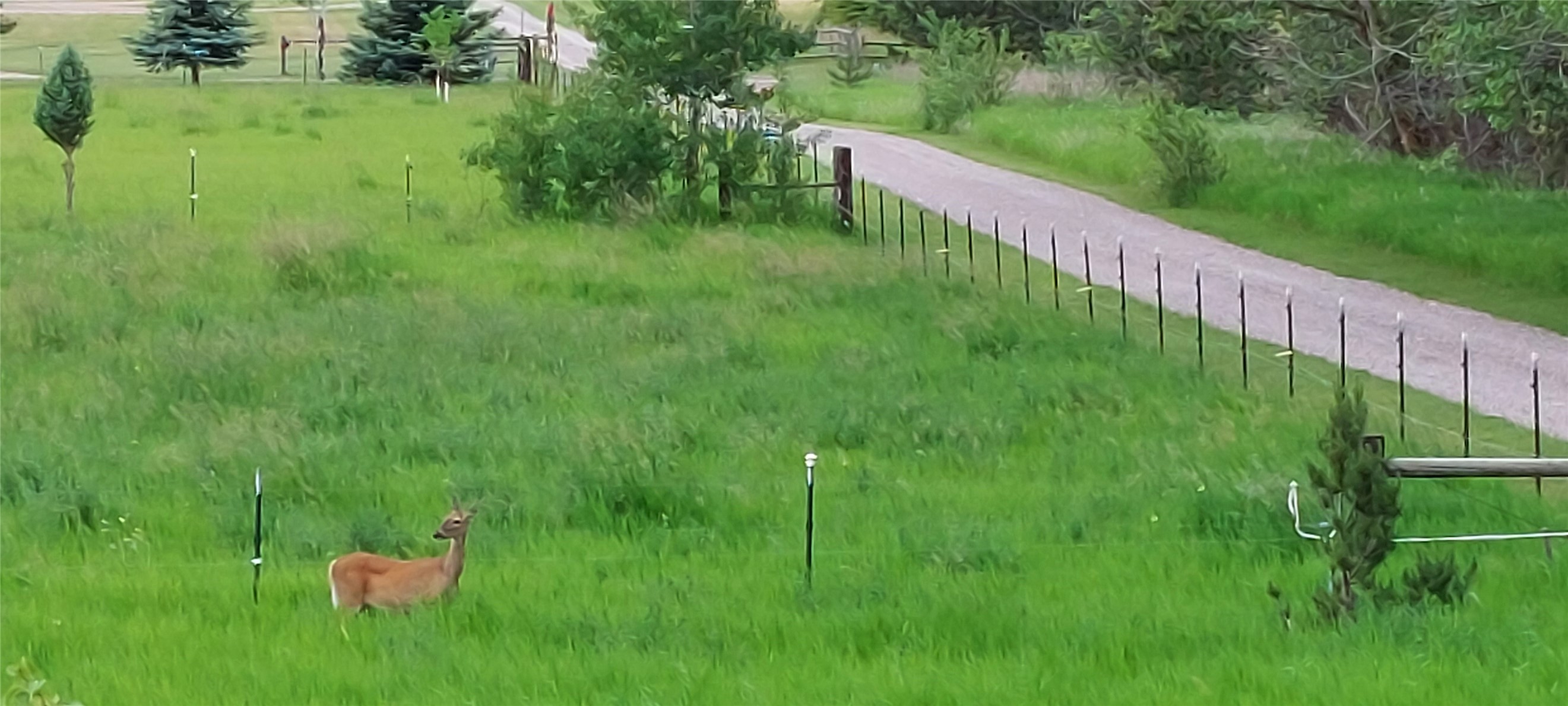 Kalispell, Montana 59901, United States, 2 Bedrooms Bedrooms, ,2 BathroomsBathrooms,Residential,Pending,60875