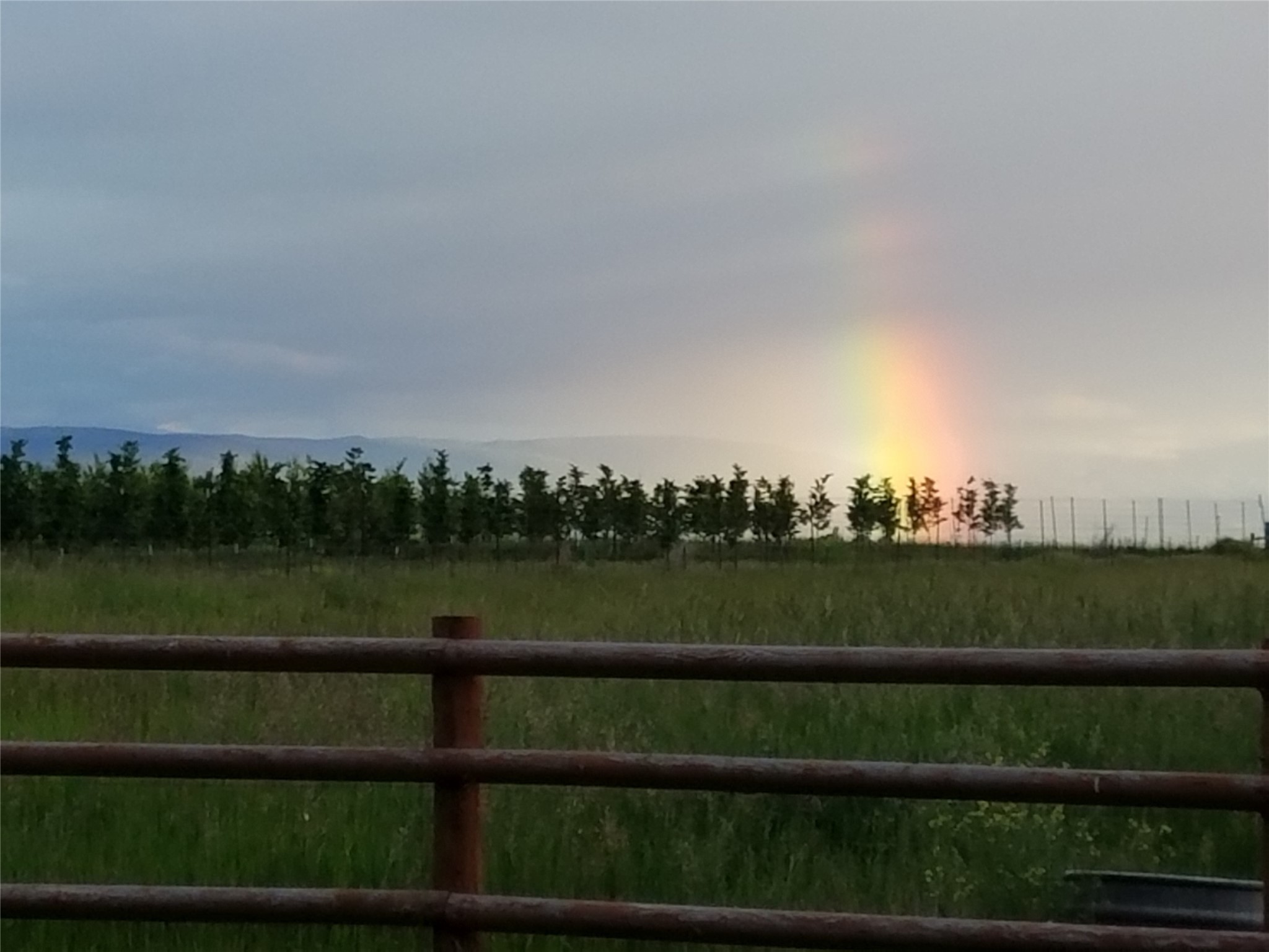 Kalispell, Montana 59901, United States, 2 Bedrooms Bedrooms, ,2 BathroomsBathrooms,Residential,Pending,60875