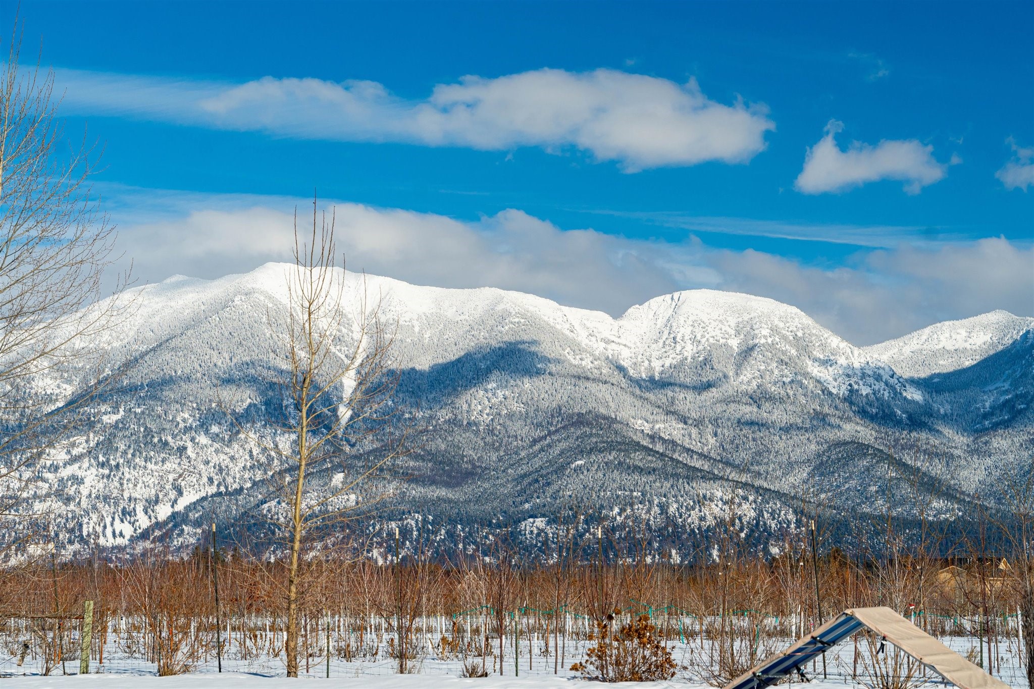 Kalispell, Montana 59901, United States, 2 Bedrooms Bedrooms, ,2 BathroomsBathrooms,Residential,Pending,60875