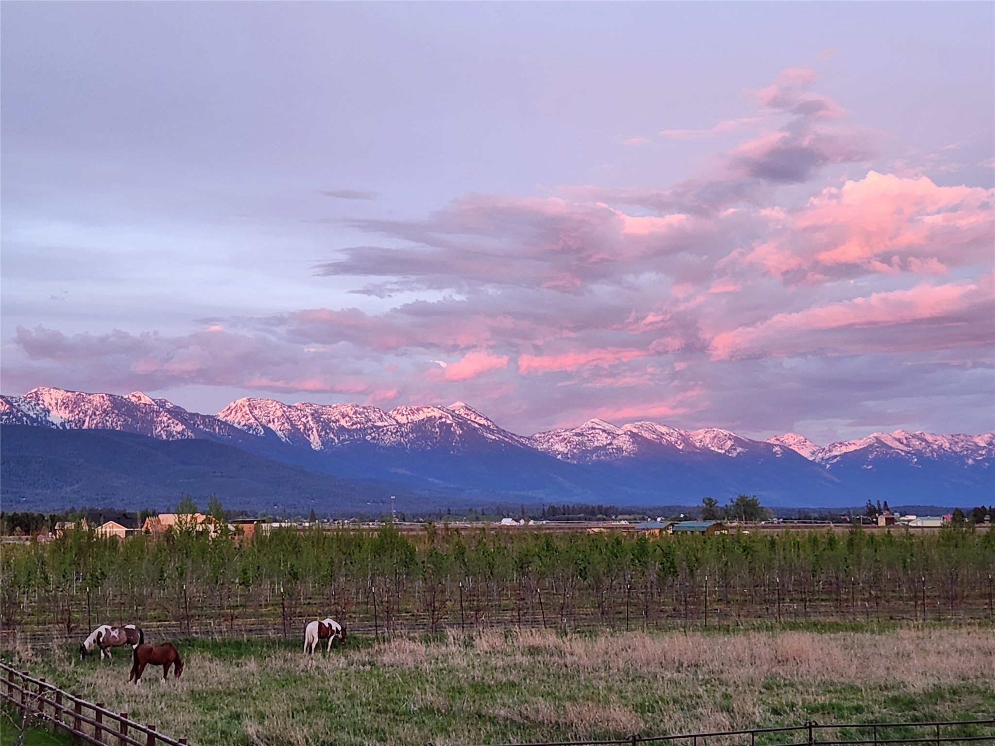 Kalispell, Montana 59901, United States, 2 Bedrooms Bedrooms, ,2 BathroomsBathrooms,Residential,Pending,60875