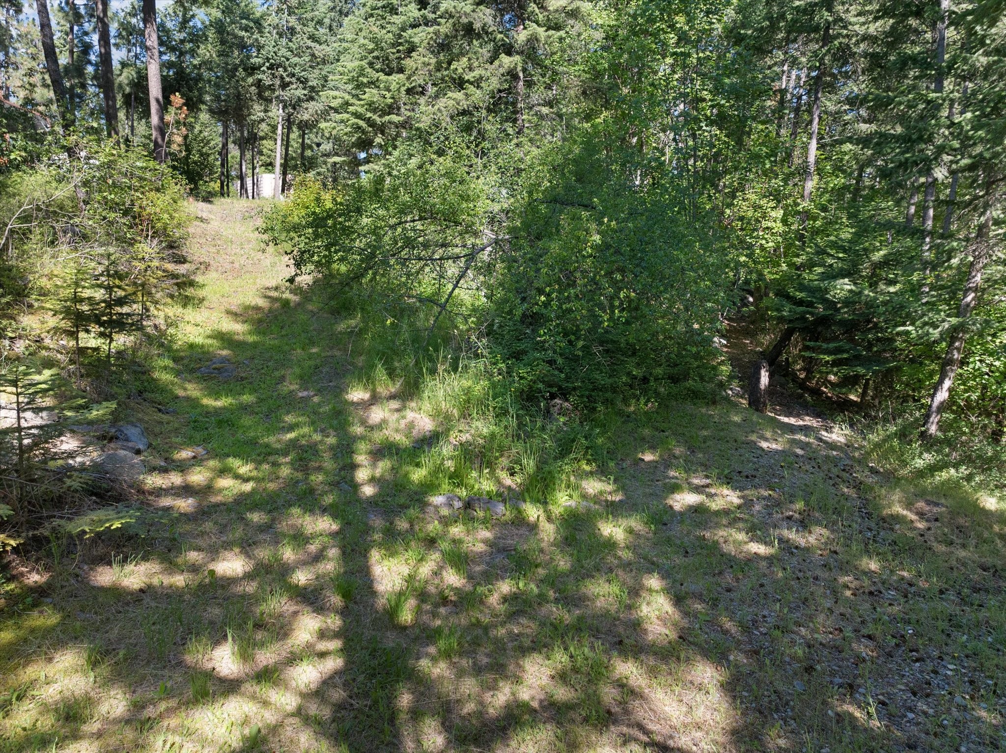 Bigfork, Montana 59911, United States, 4 Bedrooms Bedrooms, ,3 BathroomsBathrooms,Residential,Active,53109