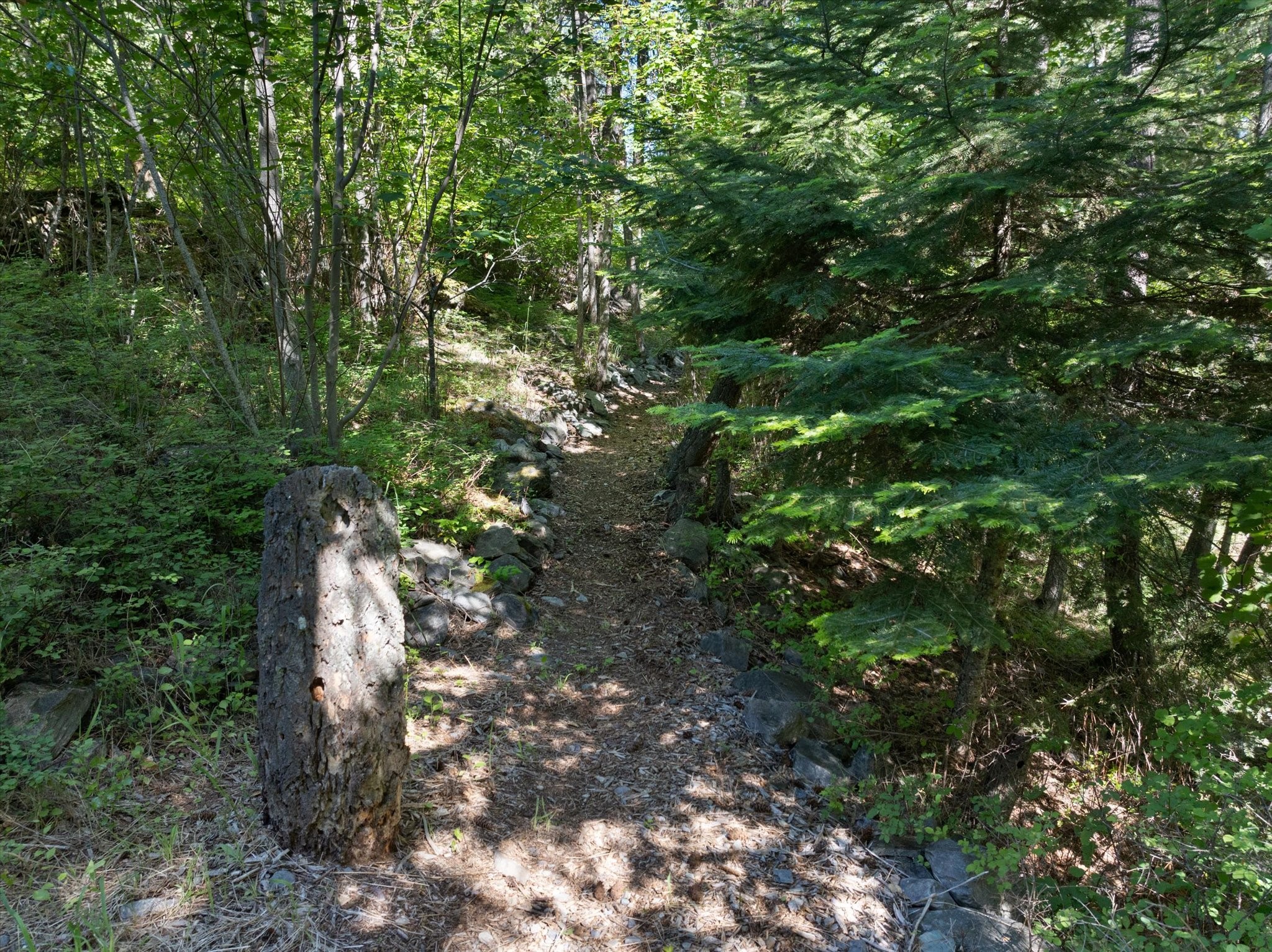 Bigfork, Montana 59911, United States, 4 Bedrooms Bedrooms, ,3 BathroomsBathrooms,Residential,Active,53109