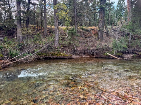 Tiny photo for 4147 Snow Fleury Lane, Lincoln, MT 59639 (MLS # 30077181)
