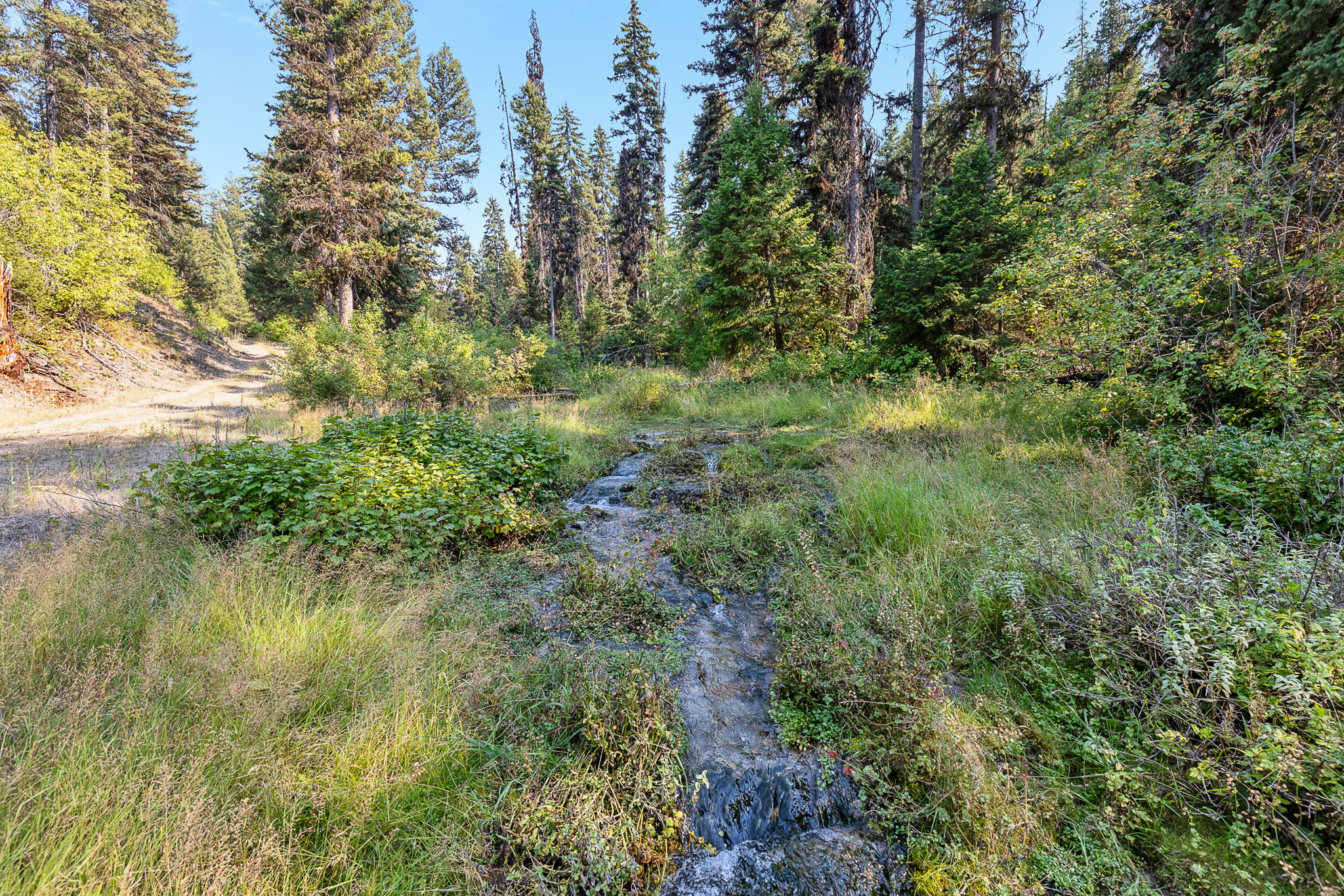 6300 Camas Creek Road