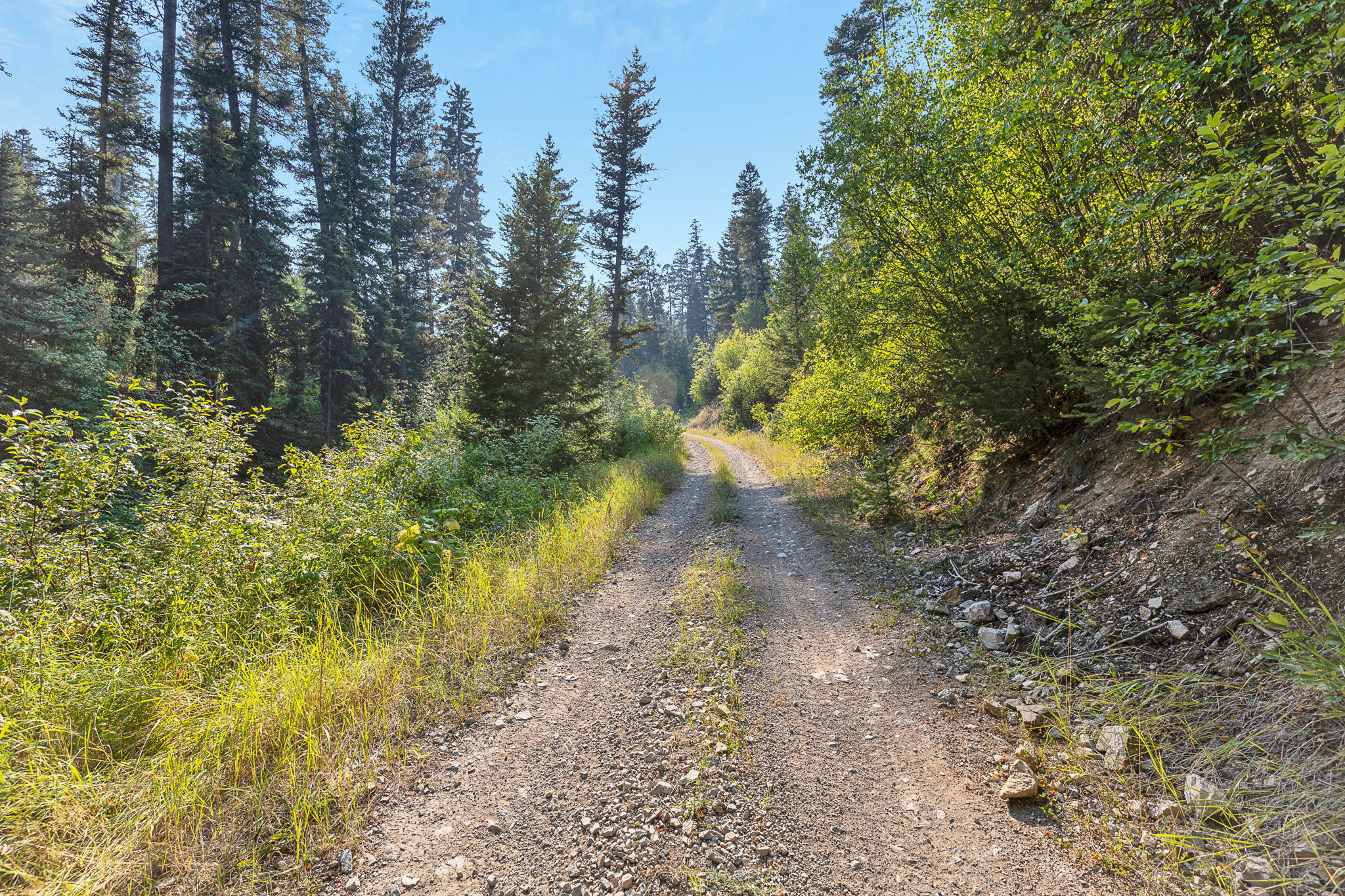 6300 Camas Creek Road