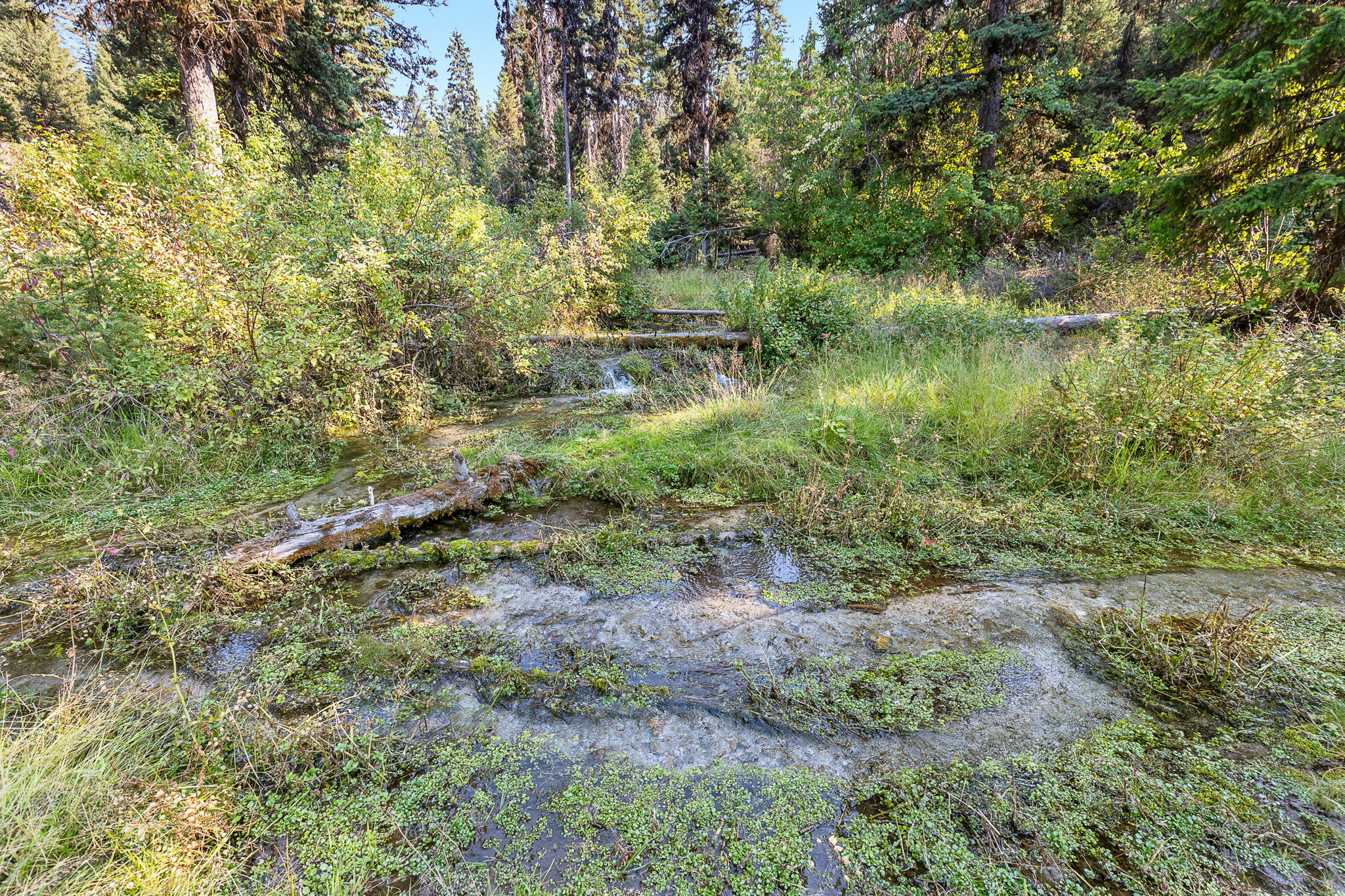 6300 Camas Creek Road