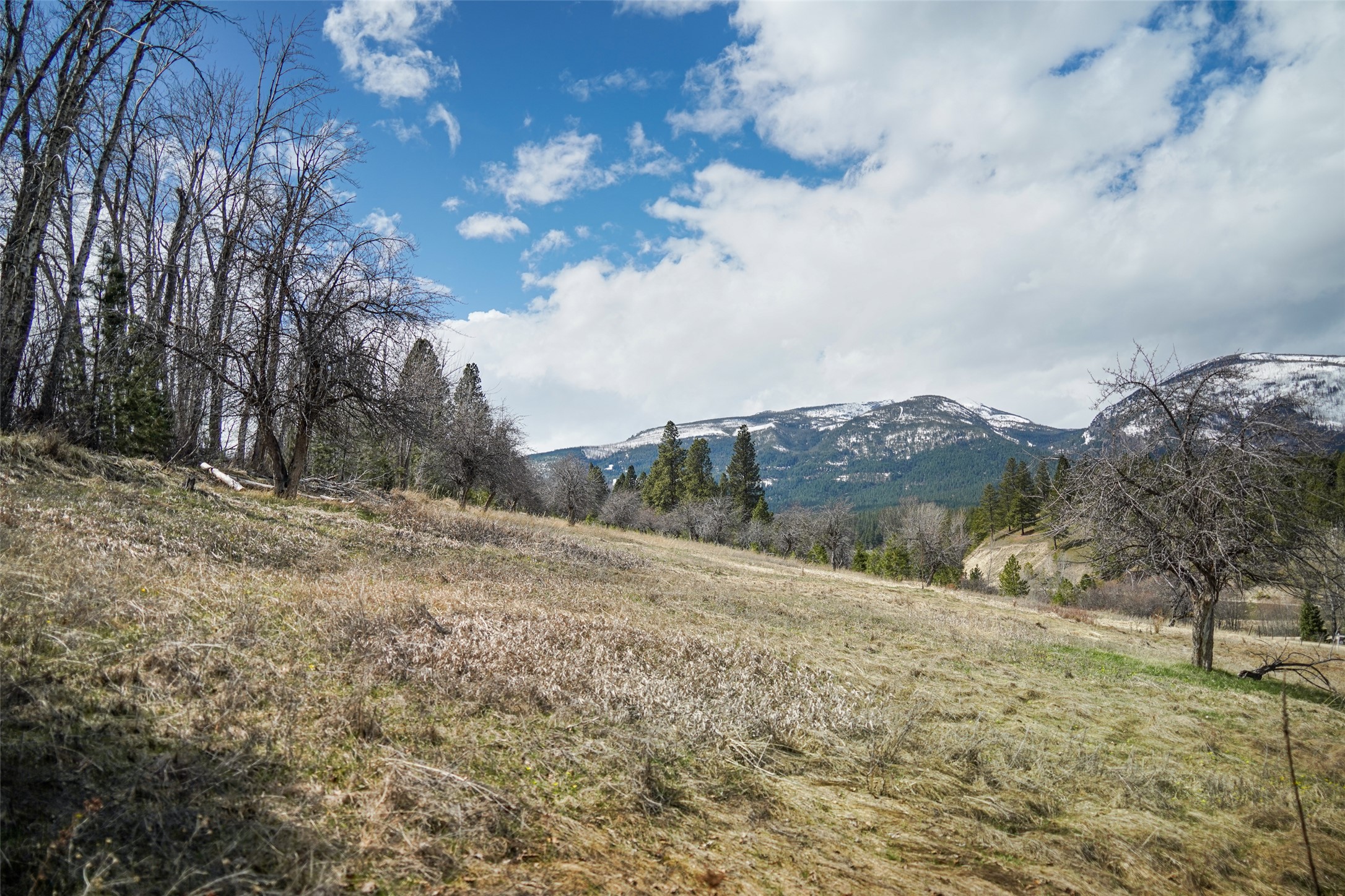 204 Camas Orchard Trail