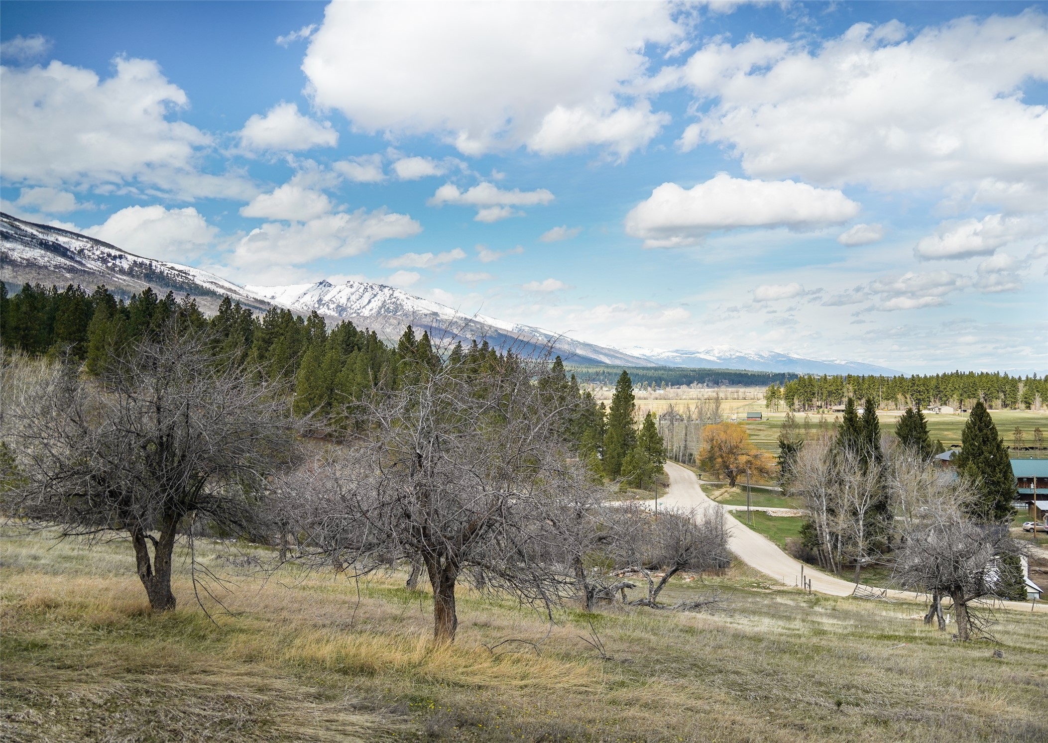 204 Camas Orchard Trail