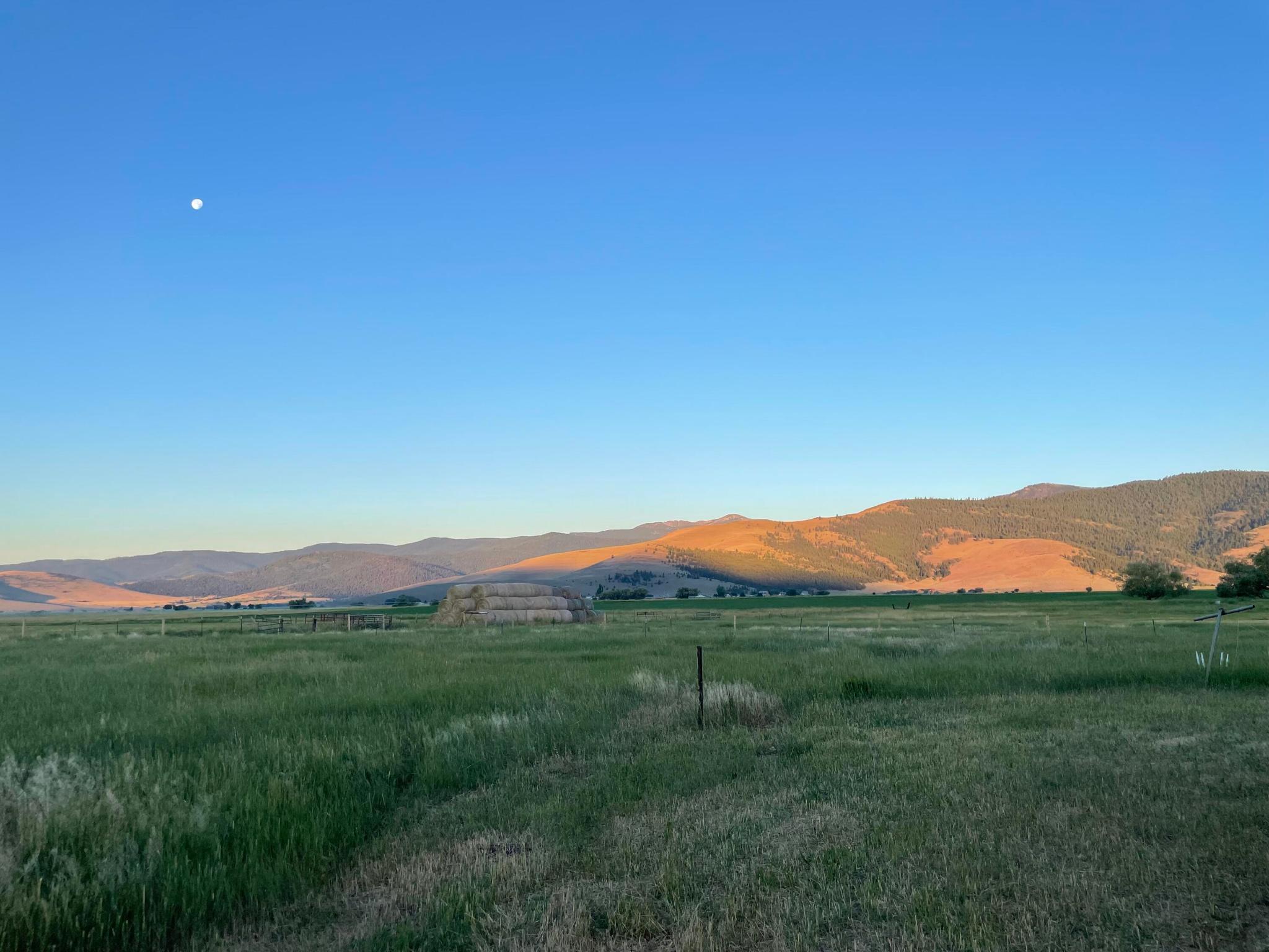 Hot Springs, Montana 59845, United States, ,Land,Pending,74150