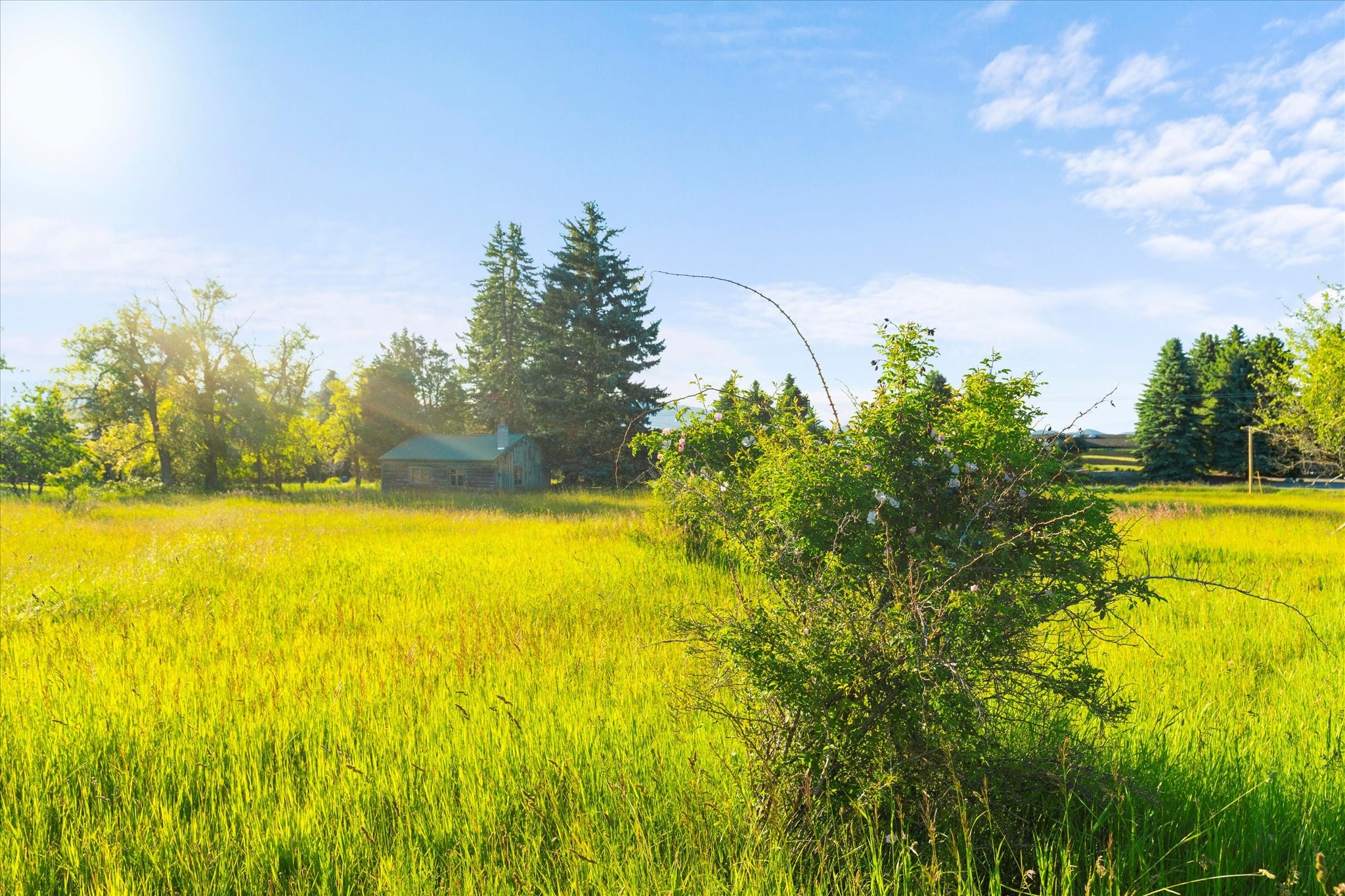 Polson, Montana 59860, United States, 3 Bedrooms Bedrooms, ,2 BathroomsBathrooms,Residential,Active,54316