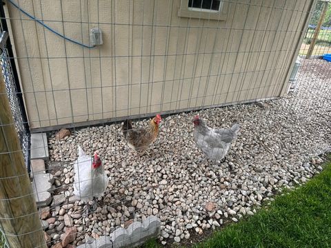 Tiny photo for 159 Edens Lane, Florence, MT 59833 (MLS # 30070967)