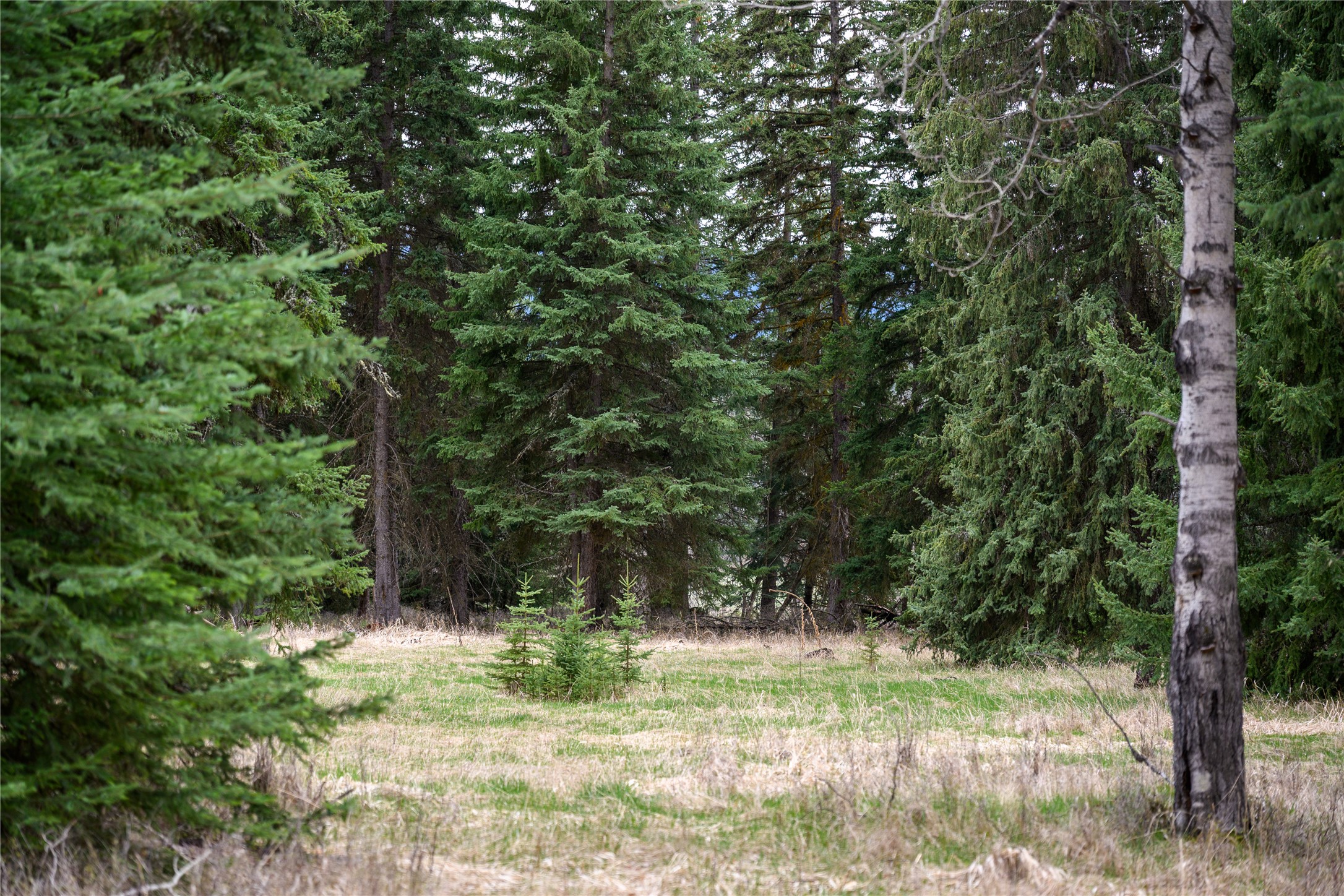 Nhn Browns Meadow Road