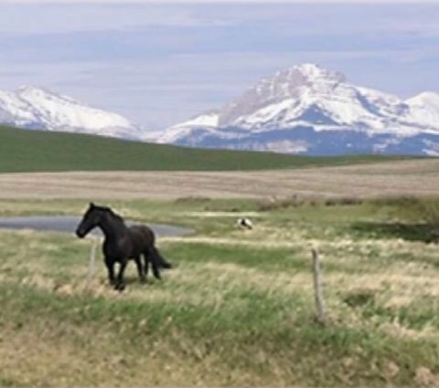 301 Middle Fork Road Dupuyer MT 59432