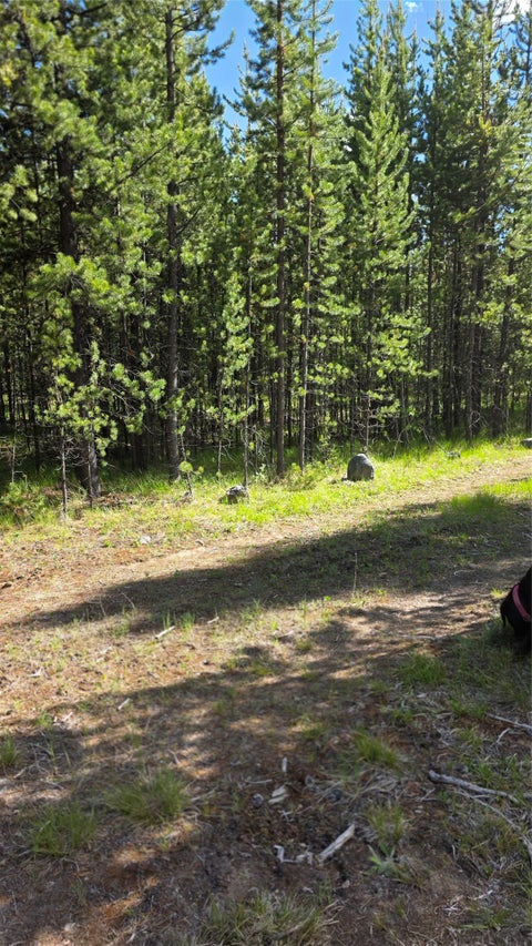 Tiny photo for TBD Anderson Tracts Road, Anaconda, MT 59711 (MLS # 30073078)