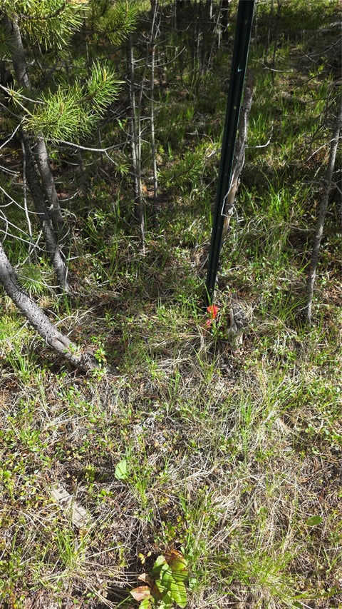 Tiny photo for TBD Anderson Tracts Road, Anaconda, MT 59711 (MLS # 30073078)