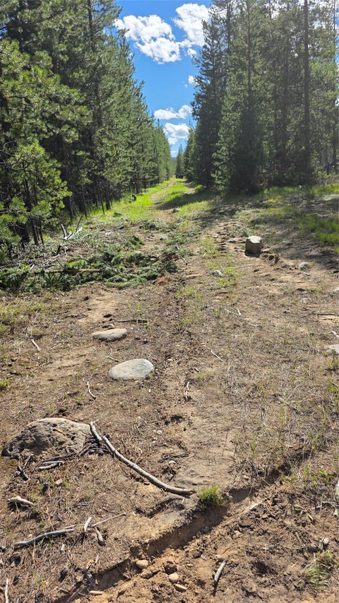 Tiny photo for TBD Anderson Tracts Road, Anaconda, MT 59711 (MLS # 30073078)