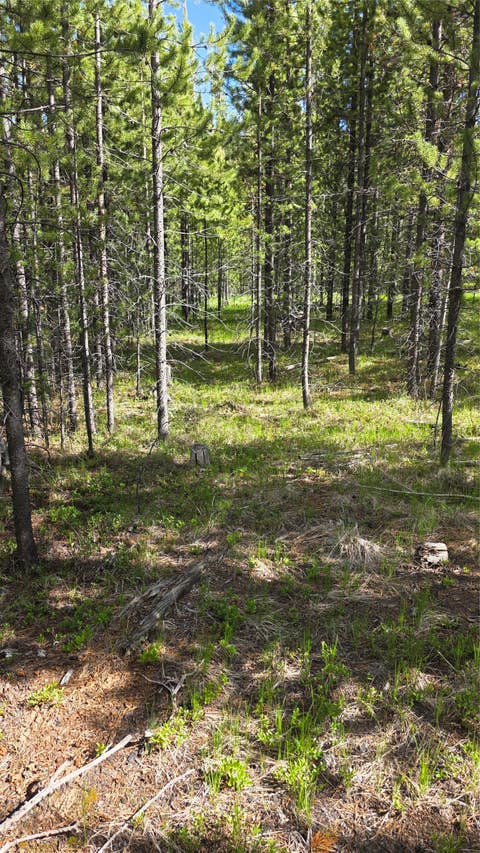 Tiny photo for TBD Anderson Tracts Road, Anaconda, MT 59711 (MLS # 30073078)