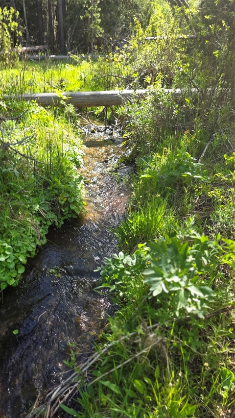 Photo of TBD Anderson Tracts Road, Anaconda, MT 59711 (MLS # 30073078)